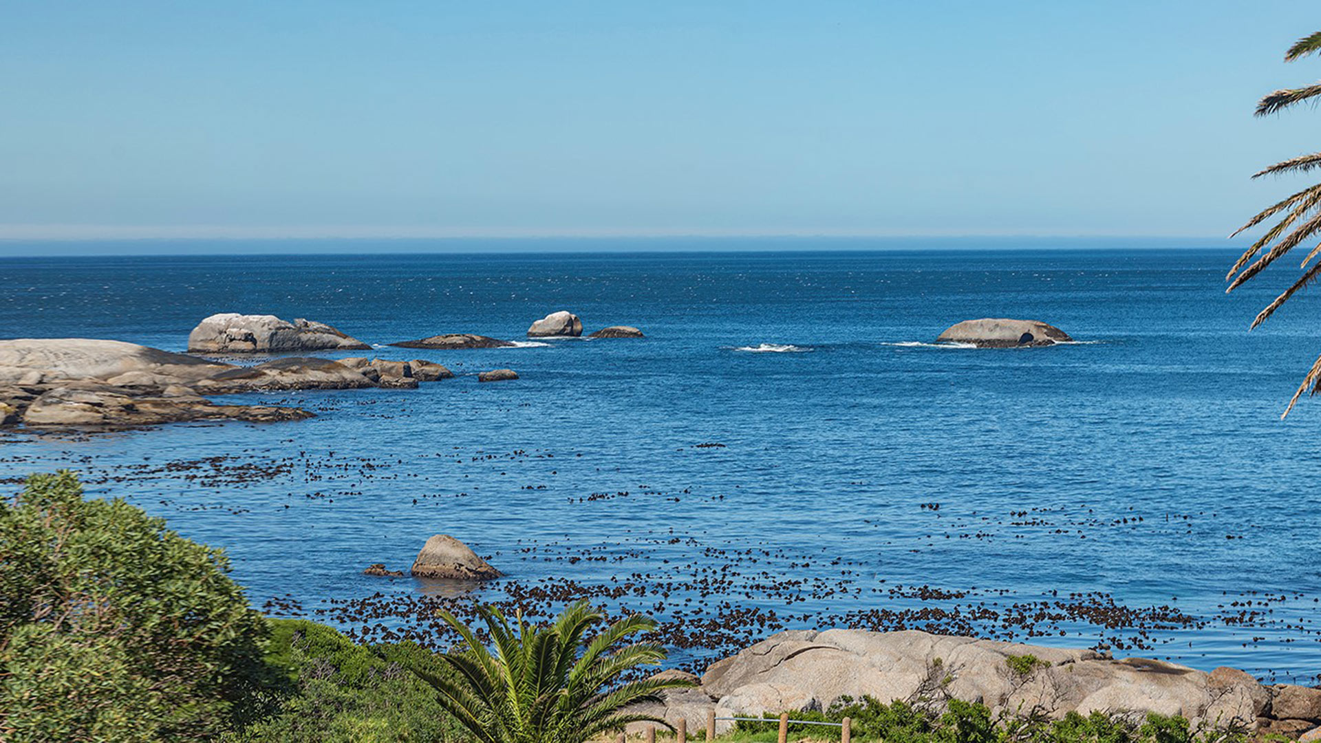 south-beach-camps-bay-pool-terrace-plus-suite-2